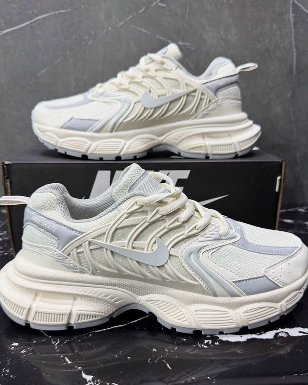 Nike Skate V2 “Gray”